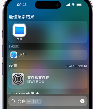 江北apple维修中心分享iPhone文件应用中存储和找到下载文件 