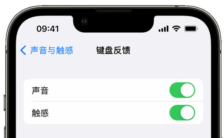 江北苹果手机维修分享iPhone 14触感键盘使用方法 