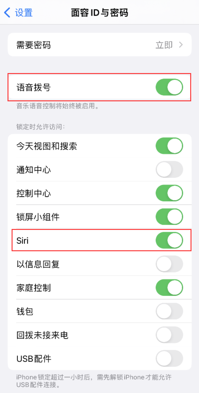 江北苹果维修网点分享不解锁 iPhone 的情况下通过 Siri 拨打电话的方法 