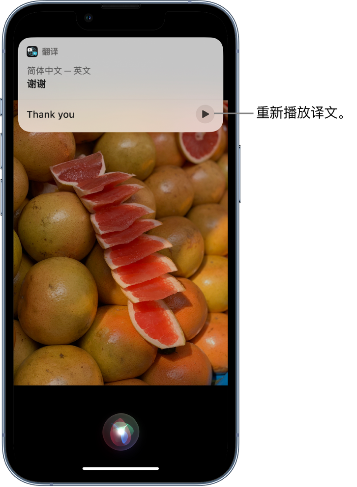 江北苹果14维修分享 iPhone 14 机型中使用 Siri：了解 Siri 能帮你做什么 