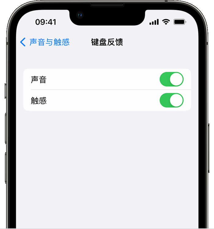 江北苹果14维修分享iPhone 14 系列机型如何开启键盘声音或触感反馈 