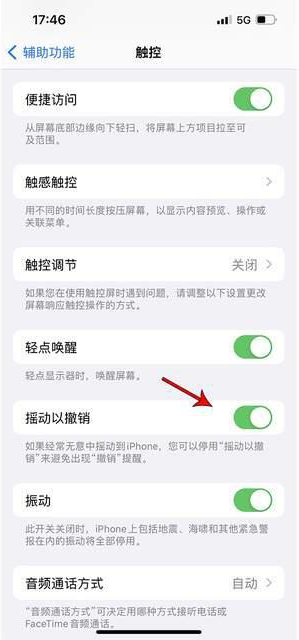 江北苹果手机维修分享iPhone手机如何设置摇一摇删除文字 